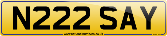N222 SAY