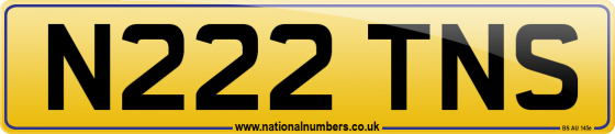N222 TNS
