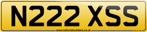 N222 XSS
