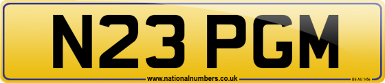 N23 PGM
