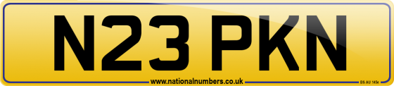 N23 PKN
