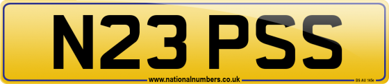 N23 PSS