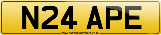 N24 APE