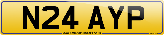 N24 AYP