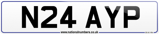 N24 AYP