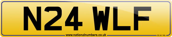 N24 WLF