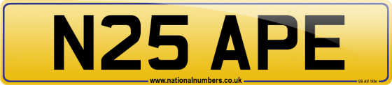 N25 APE