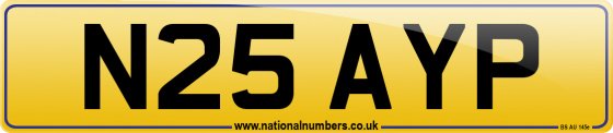 N25 AYP