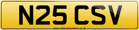 N25 CSV