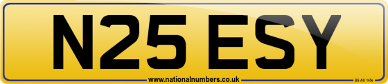 N25 ESY