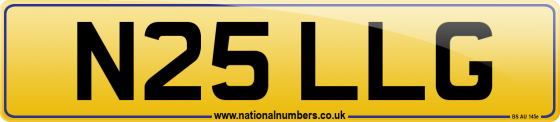 N25 LLG