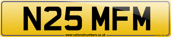 N25 MFM