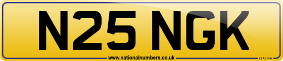 N25 NGK