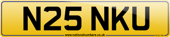 N25 NKU