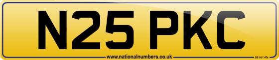 N25 PKC