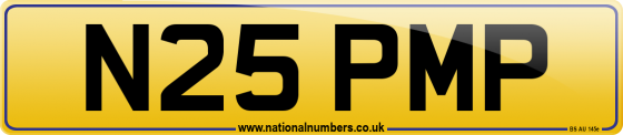 N25 PMP