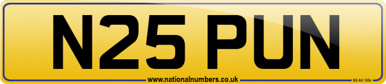 N25 PUN
