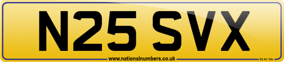 N25 SVX