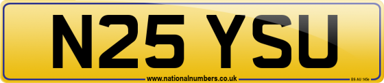 N25 YSU