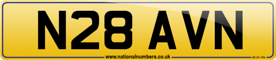 N28 AVN