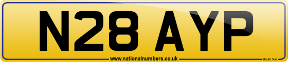 N28 AYP