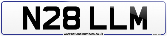N28 LLM