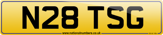 N28 TSG