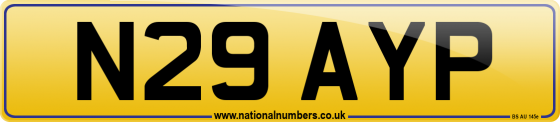 N29 AYP