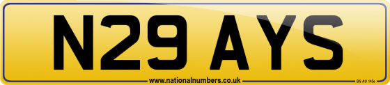 N29 AYS