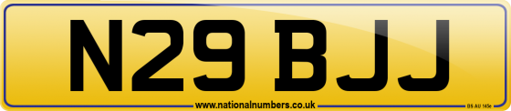 N29 BJJ