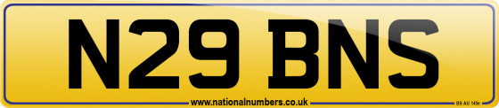 N29 BNS