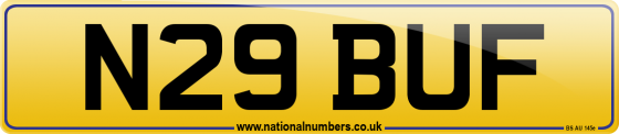 N29 BUF