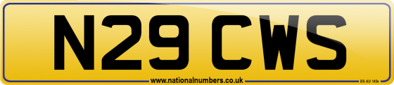 N29 CWS