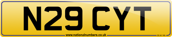 N29 CYT