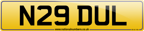 N29 DUL