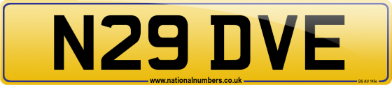 N29 DVE