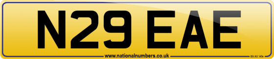 N29 EAE
