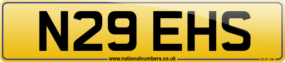 N29 EHS