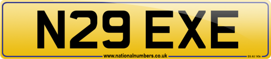 N29 EXE