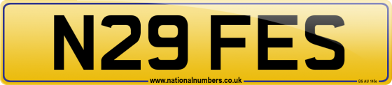 N29 FES