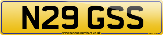 N29 GSS