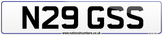 N29 GSS