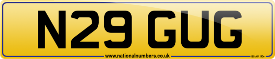 N29 GUG