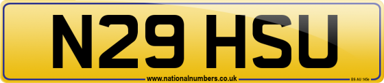 N29 HSU