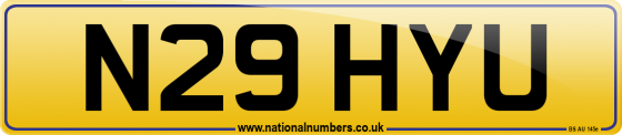 N29 HYU