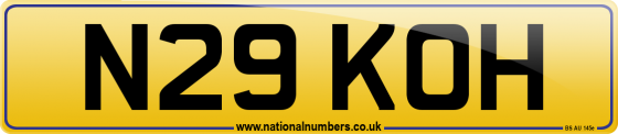 N29 KOH