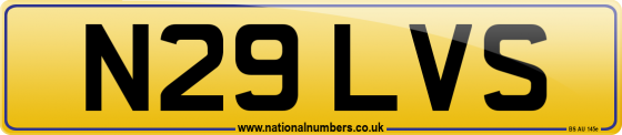 N29 LVS