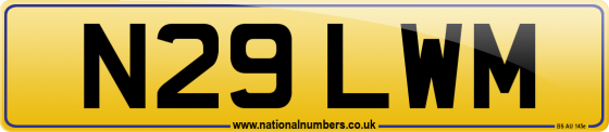 N29 LWM