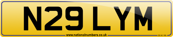 N29 LYM