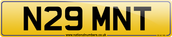 N29 MNT